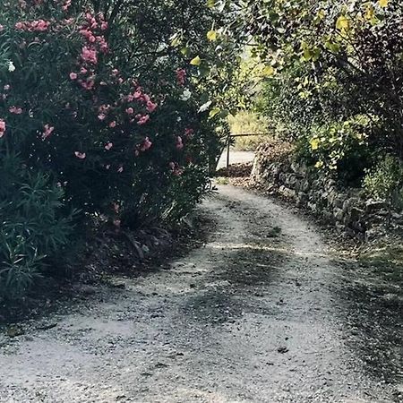 Moradia Na Serra Alcanede ภายนอก รูปภาพ