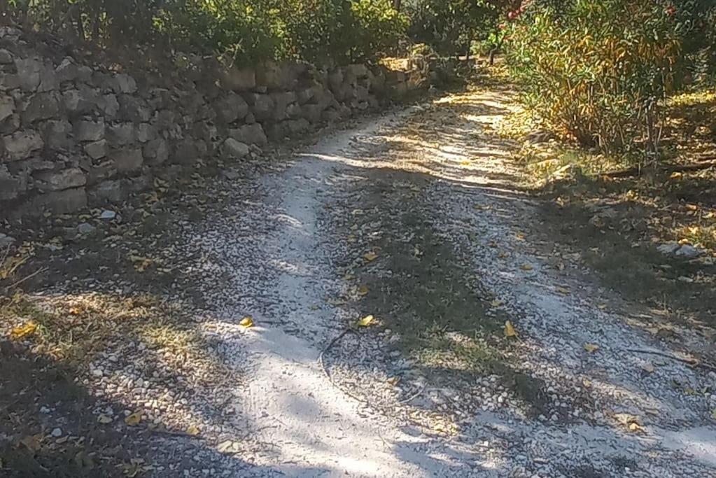 Moradia Na Serra Alcanede ภายนอก รูปภาพ