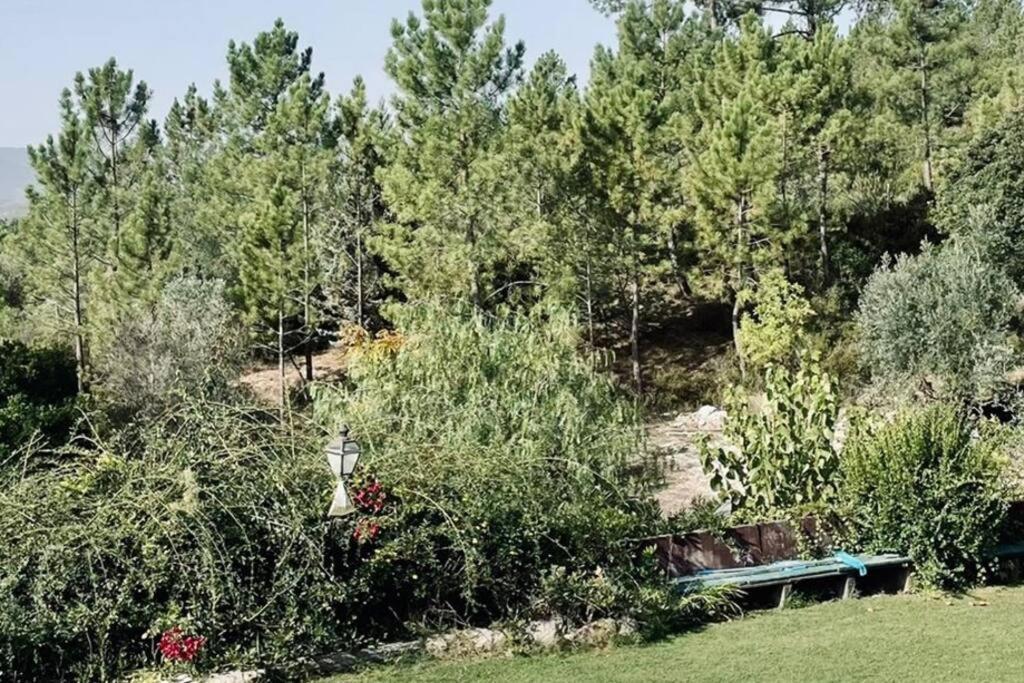Moradia Na Serra Alcanede ภายนอก รูปภาพ