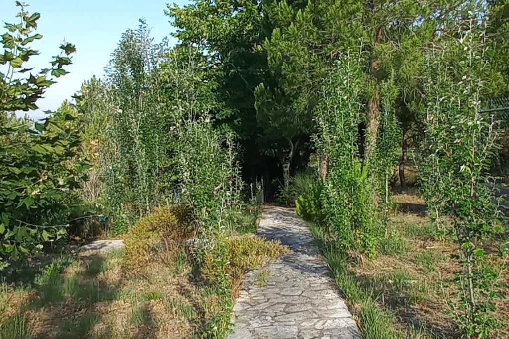 Moradia Na Serra Alcanede ภายนอก รูปภาพ