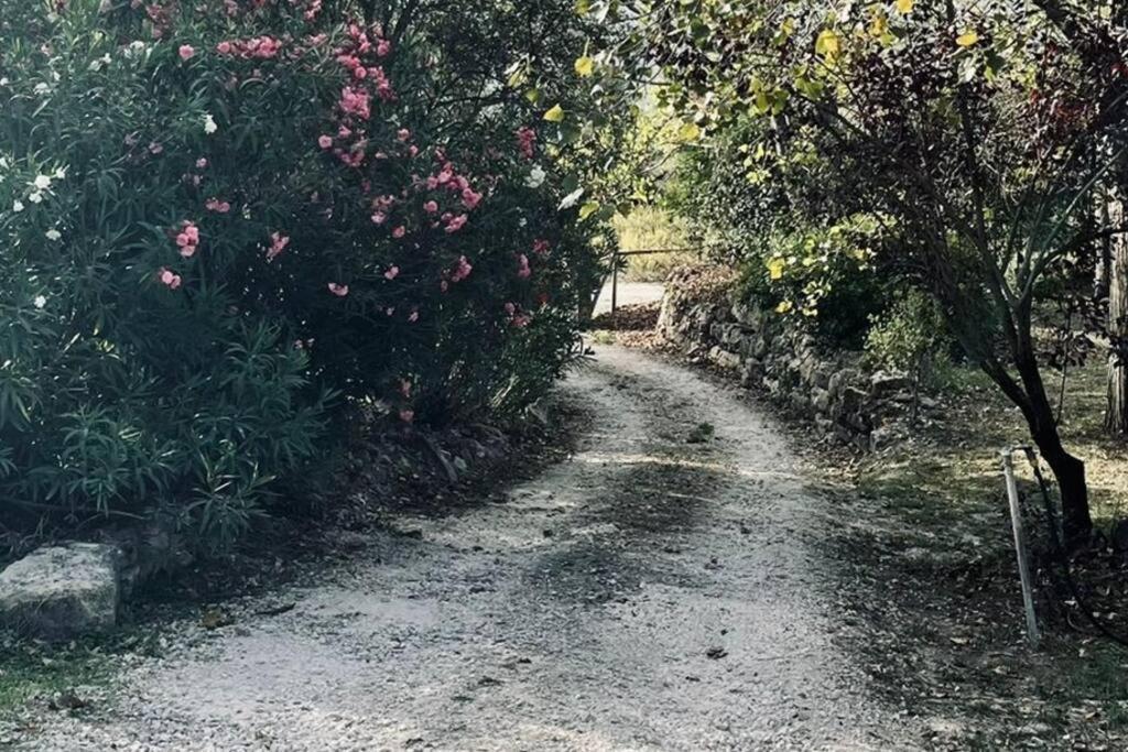 Moradia Na Serra Alcanede ภายนอก รูปภาพ